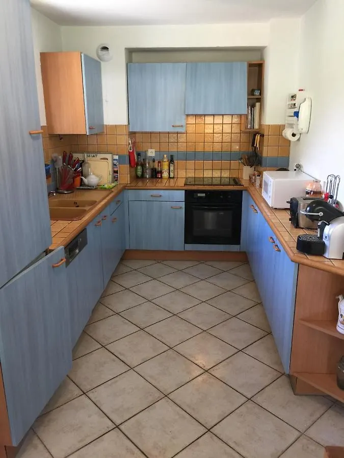 Apartment Appartement Face Au Mont Blanc & Glaciers Chamonix France