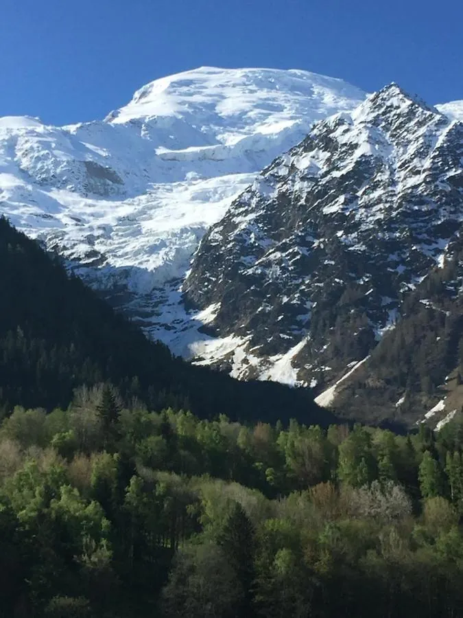 Appartement face au Mont Blanc&Glaciers Chamonix 0*,  France