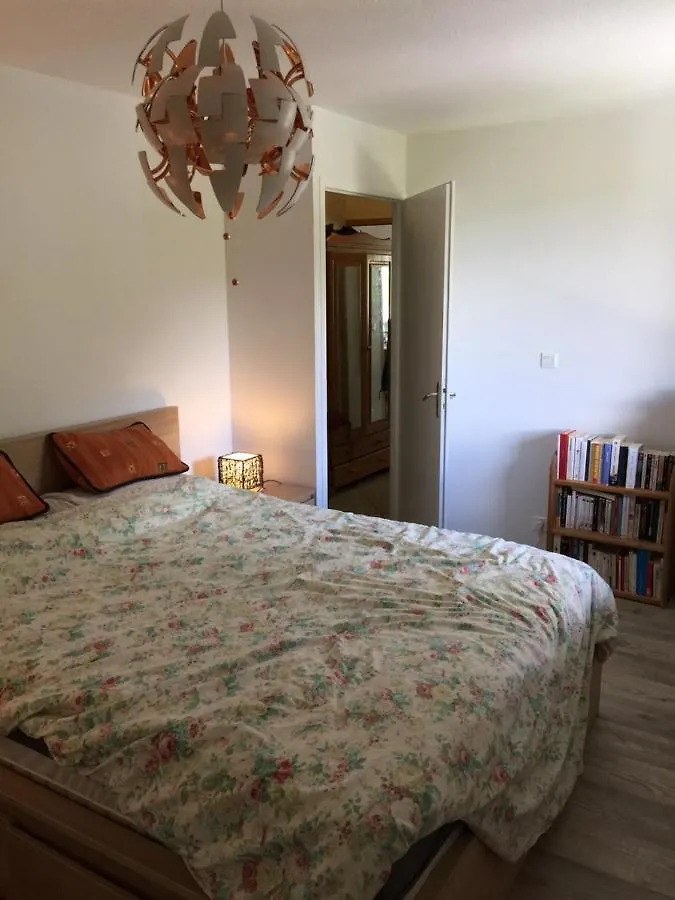 Appartement face au Mont Blanc&Glaciers Chamonix