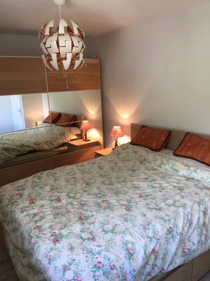 Appartement Face Au Mont Blanc & Glaciers Chamonix